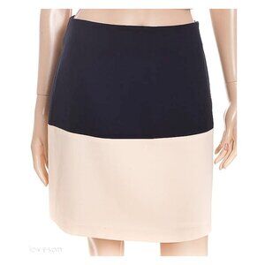 REGINA RUBENS Vintage Color Block Pencil Skirt